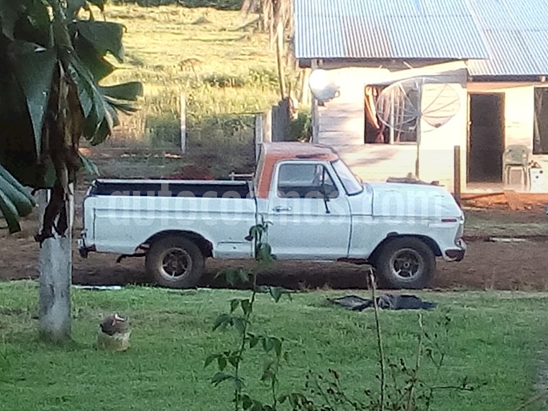 foto Ford F-100 3.6L usado