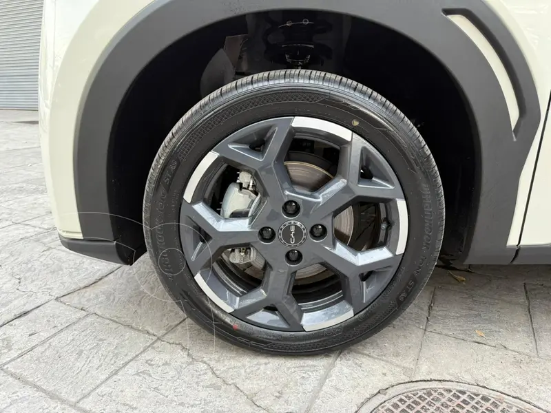 byd dolphin-mini