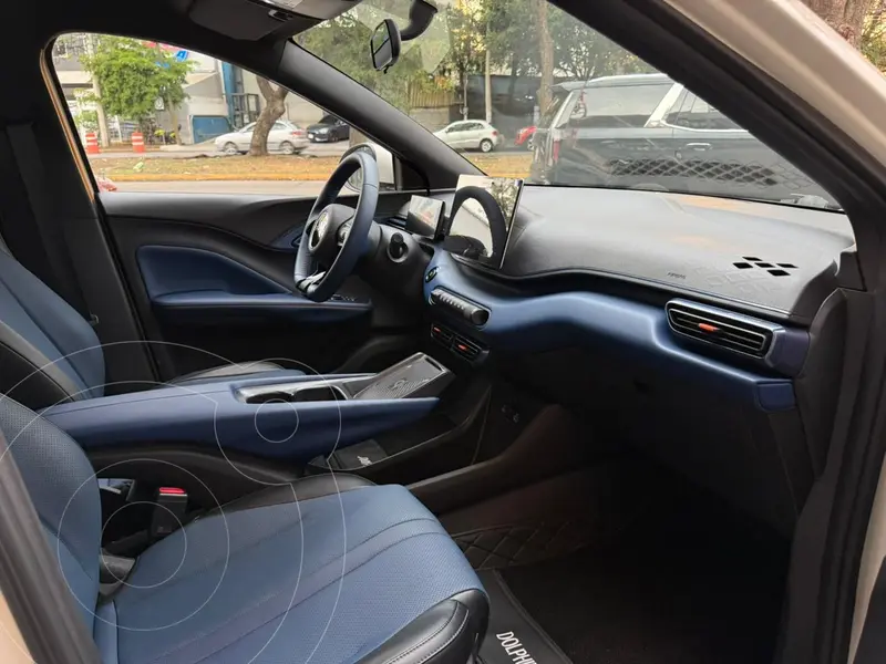 byd dolphin-mini