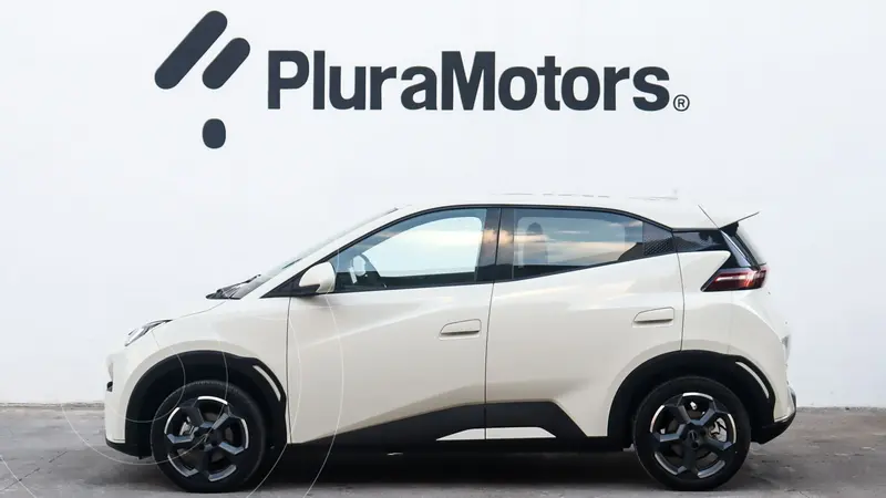 byd dolphin-mini