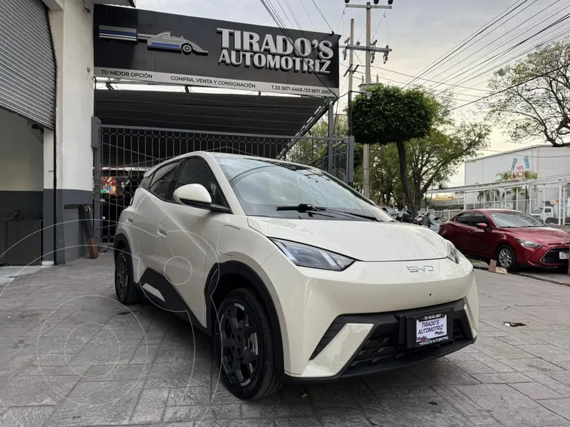 byd dolphin-mini