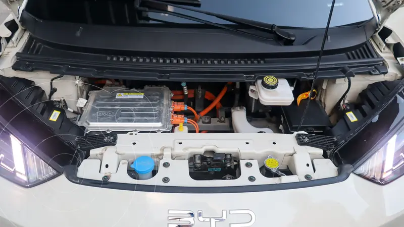 byd dolphin-mini
