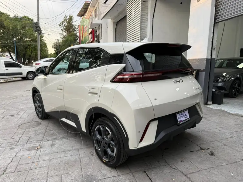 byd dolphin-mini