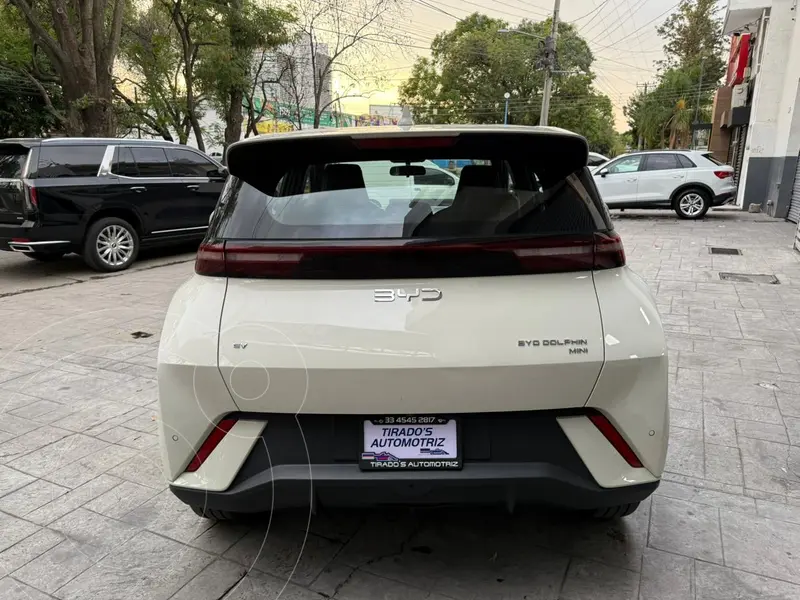 byd dolphin-mini