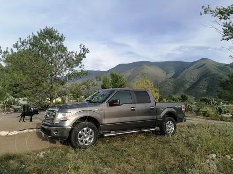 Ford F-150 XLT Doble Cabina 4x4 V8 usado (2014) color Gris precio $270,000
