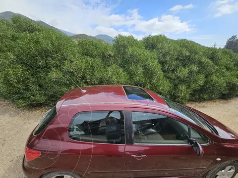 Peugeot 307  XSI usado (2005) color Bordo precio $3.500.000