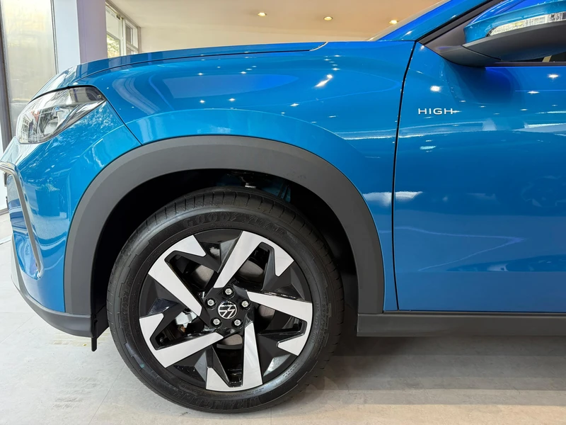 Volkswagen Tera